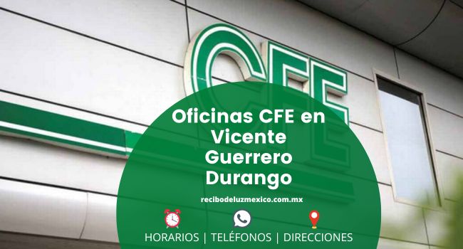 CFE Vicente Guerrero
