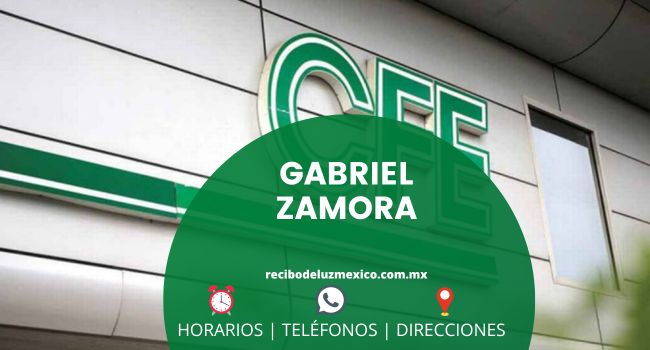 Oficinas CFE en Gabriel Zamora