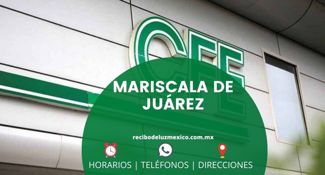Oficinas CFE en Mariscala de Juárez